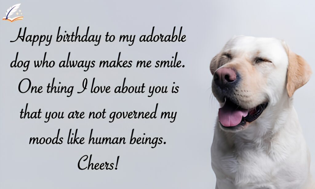 160+ Dogs Birthday Wishes Every Dog Parent Will Love