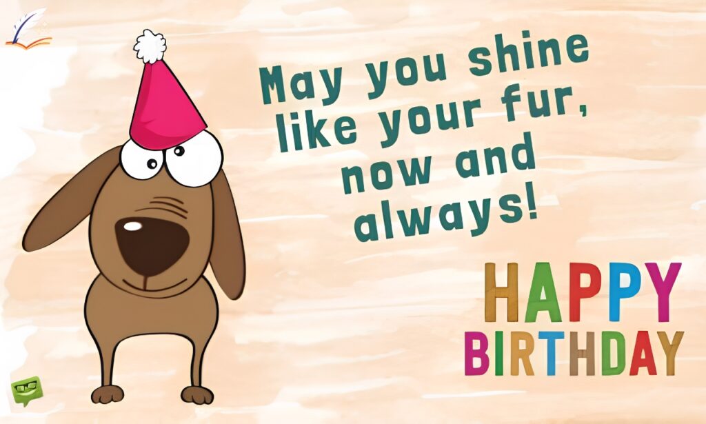 160+ Dogs Birthday Wishes Every Dog Parent Will Love