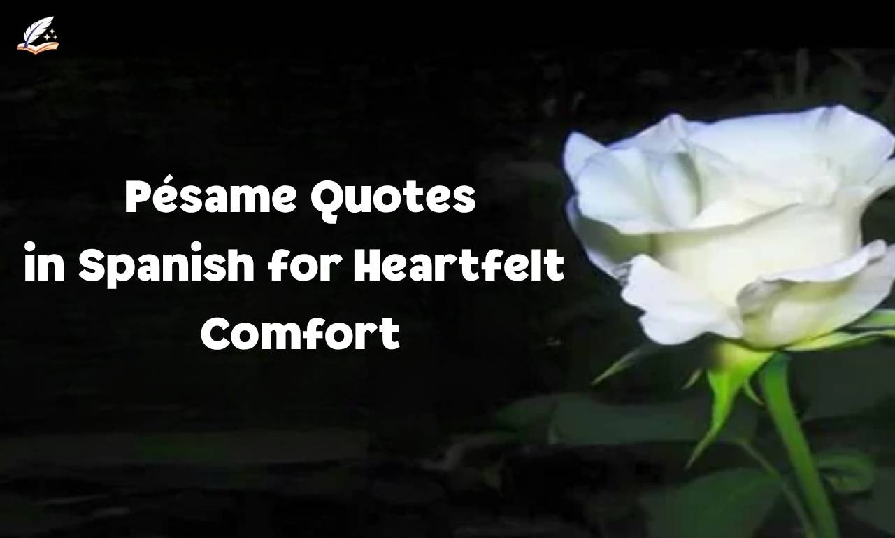 125+ Powerful Pésame Quotes in Spanish for Heartfelt Comfort